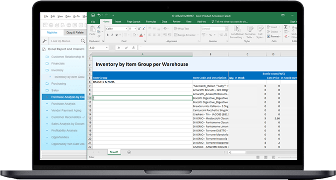 MS Excel Based Reporting