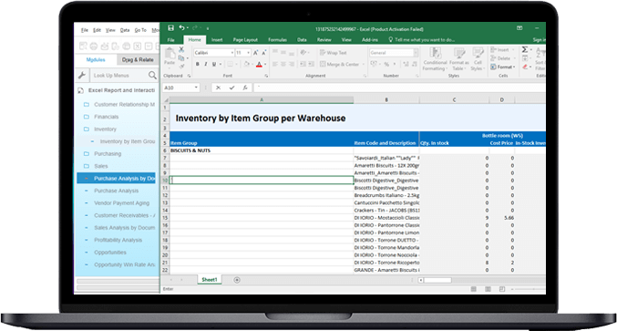 MS Excel Based Reporting MS Excel Based Reporting