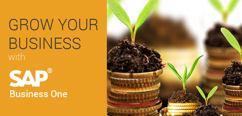 Manage and Grow your Business with SAP Business One