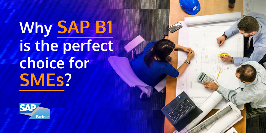 What makes SAP B1 an Obvious Choice for Small Businesses?