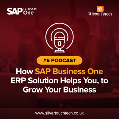 How SAP Business One ERP Solution Helps You