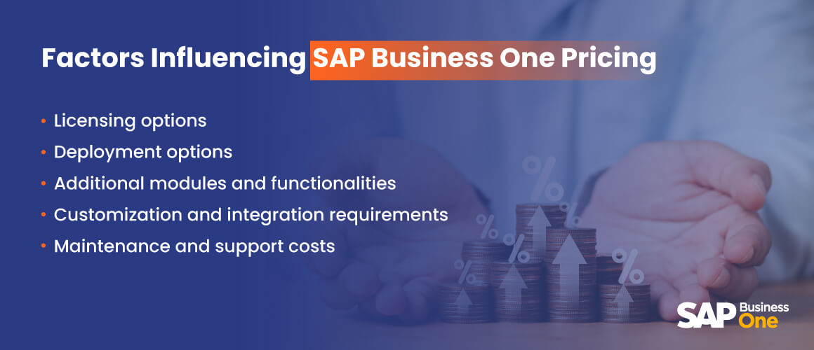 Factors Influencing SAP Business One Pricing