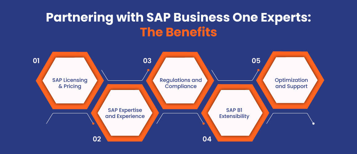 Partnering-with-SAP-Business-One-Experts-The-Benefits