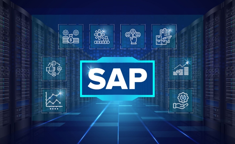 Rise-with-SAP-is-best-suited